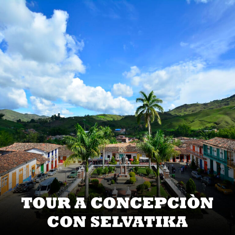 Tour concepcion y parque tematico selvatika - viajemos ng